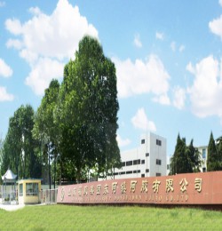 山东福胶集团